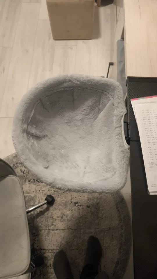Customer photo review of FlotyCat® Desk Hammock
