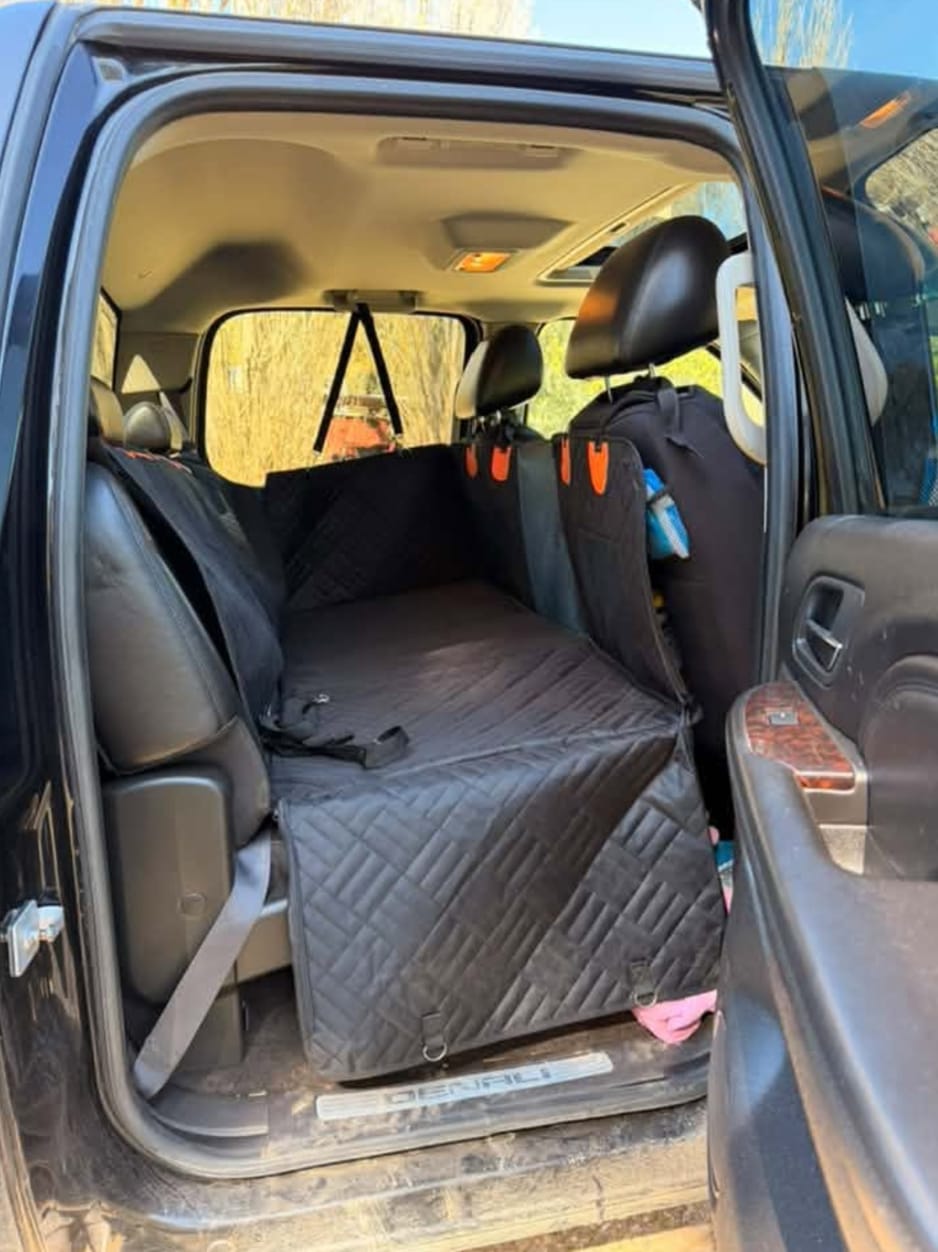 Customer photo review of Marlo&Co™ Dog Seat Cover