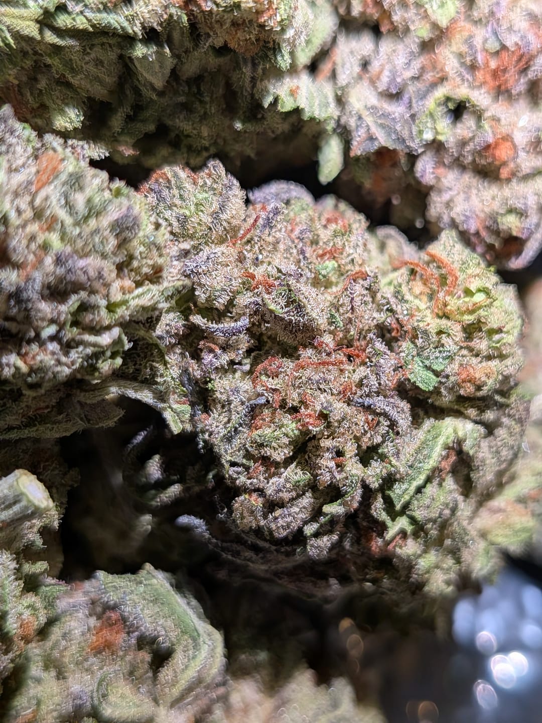 Customer photo review of Truffle - Bulk - Indica