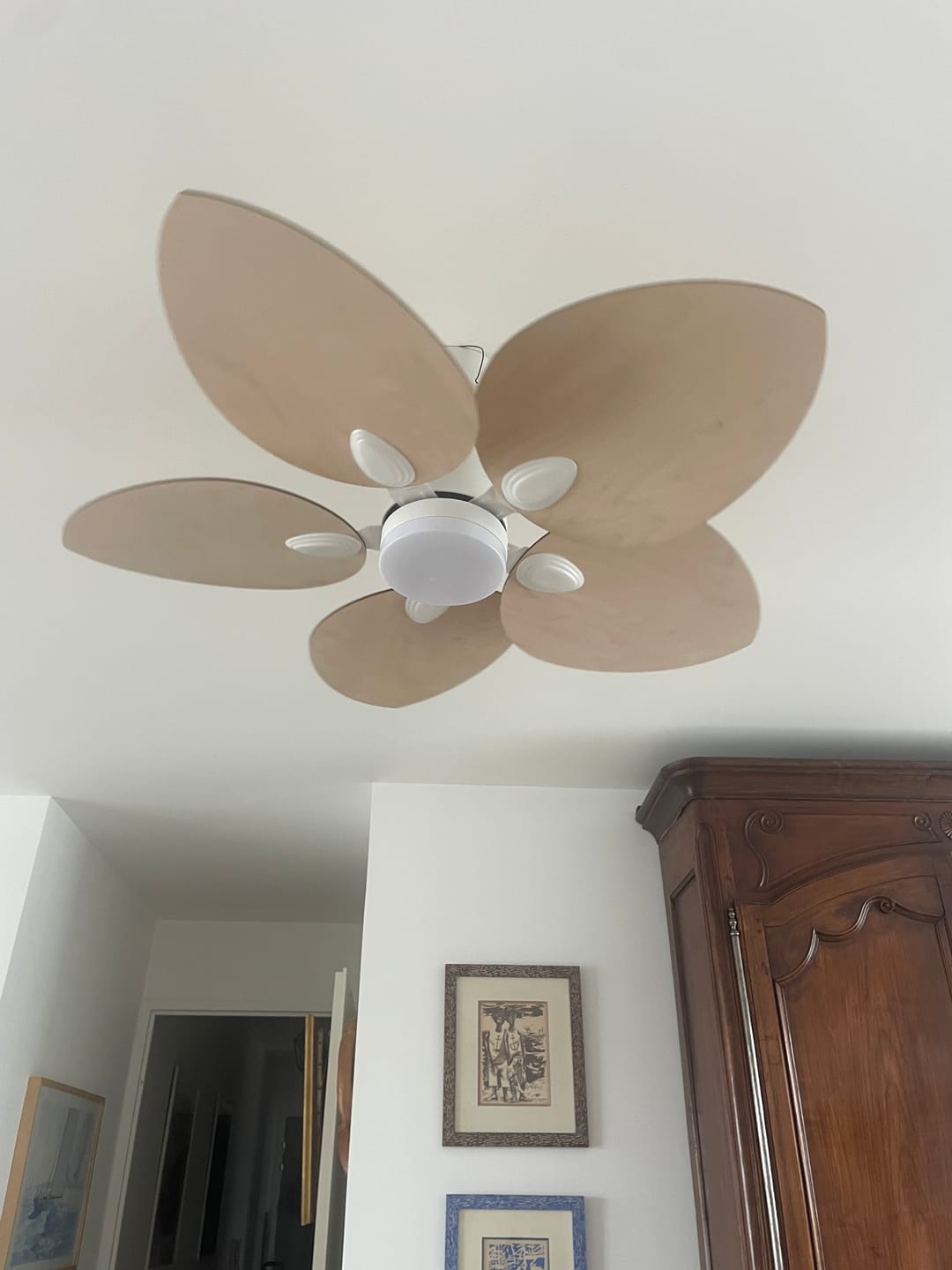 Customer photo review of Dahlia | Ventilateur de plafond