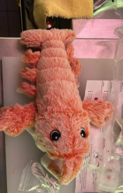 Customer photo review of Peluche langosta con movimiento para mascotas