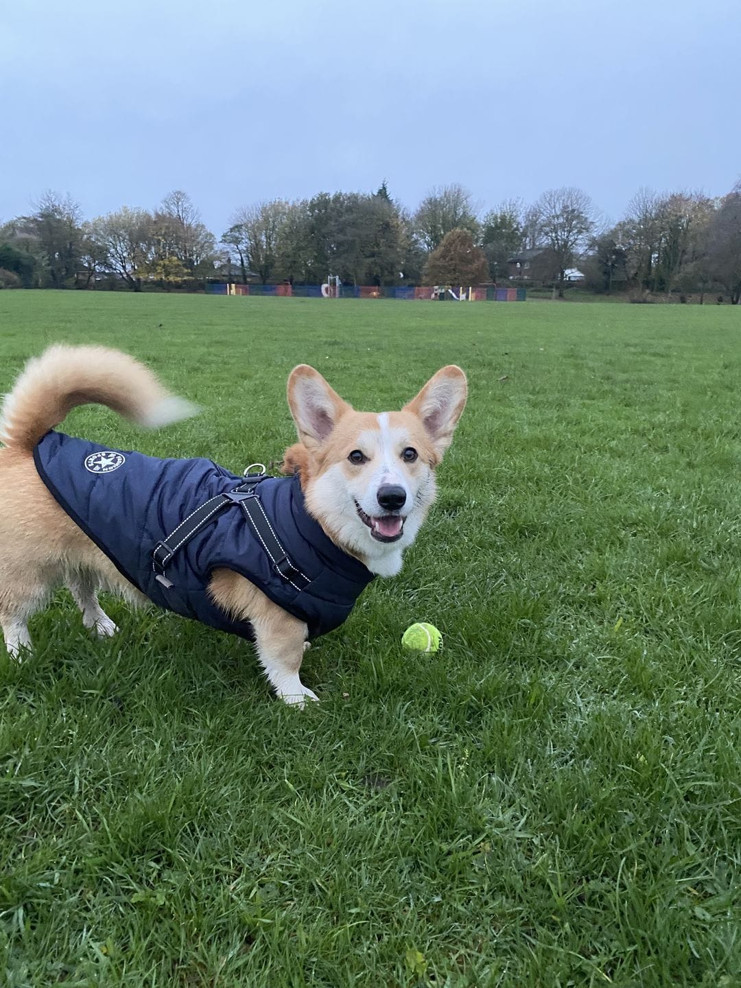 Customer photo review of Manteau 3-en-1 Vira™