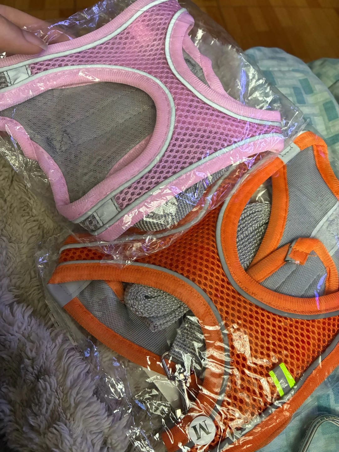 Customer photo review of ARNÉS + CORREA ANTIESCAPE PARA GATOS