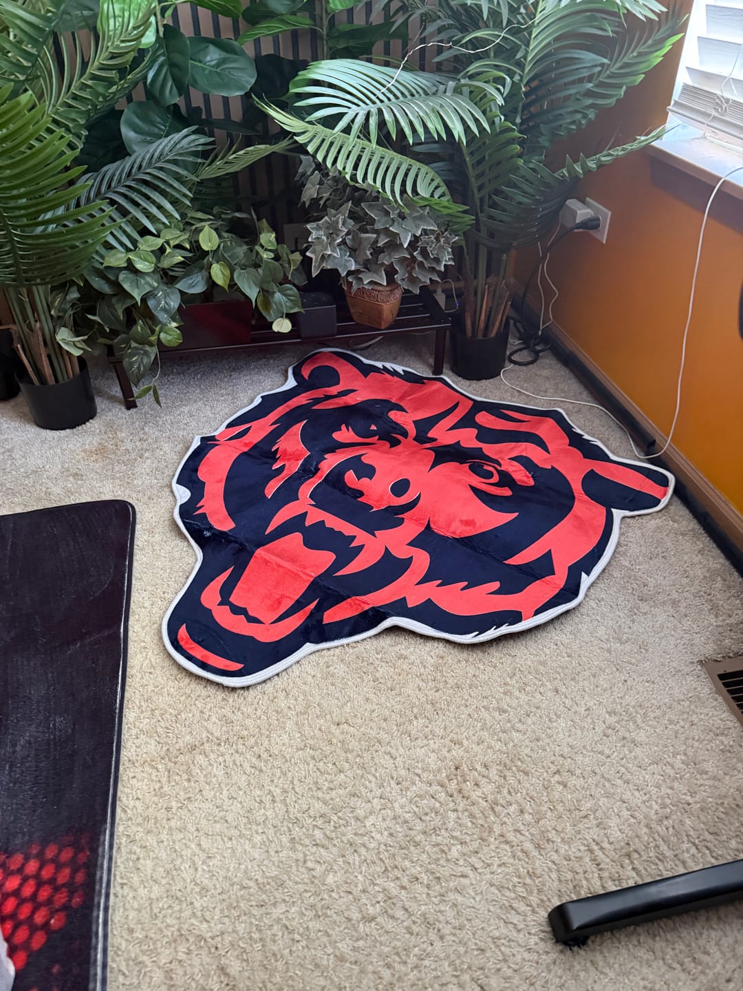 Customer photo review of Chicago Bears Logo Rug