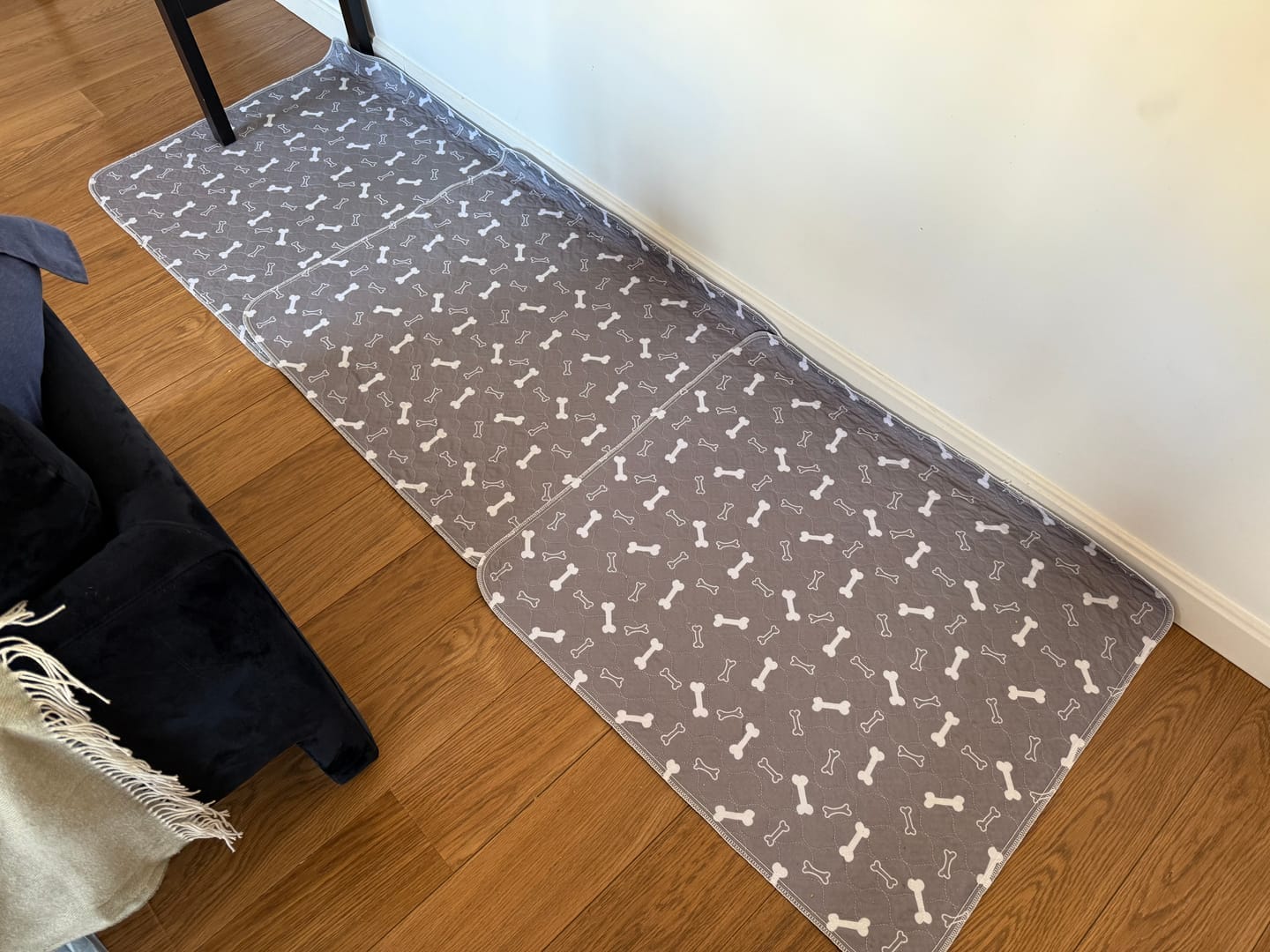 Customer photo review of BuddyPup™ Tapete Absorbente Lavable con Feromonas