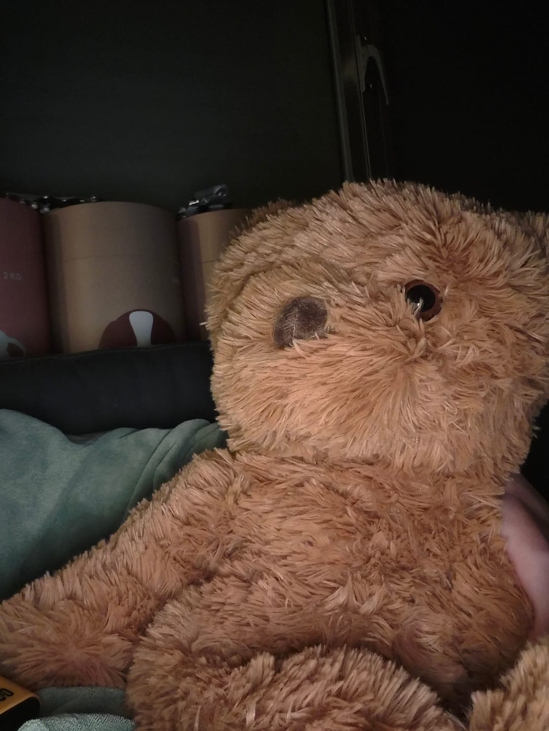 Customer photo review of Verzwaringsknuffel Teddy Beer 2,2 kg