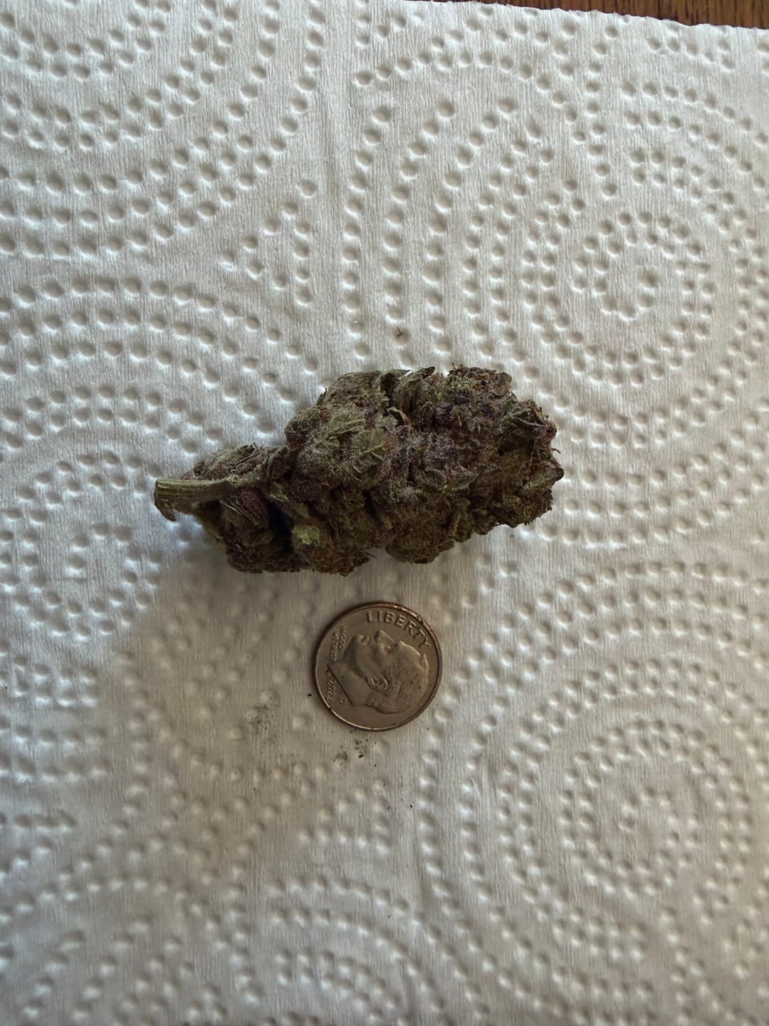 Customer photo review of Tropicana Cherry THCA Flower