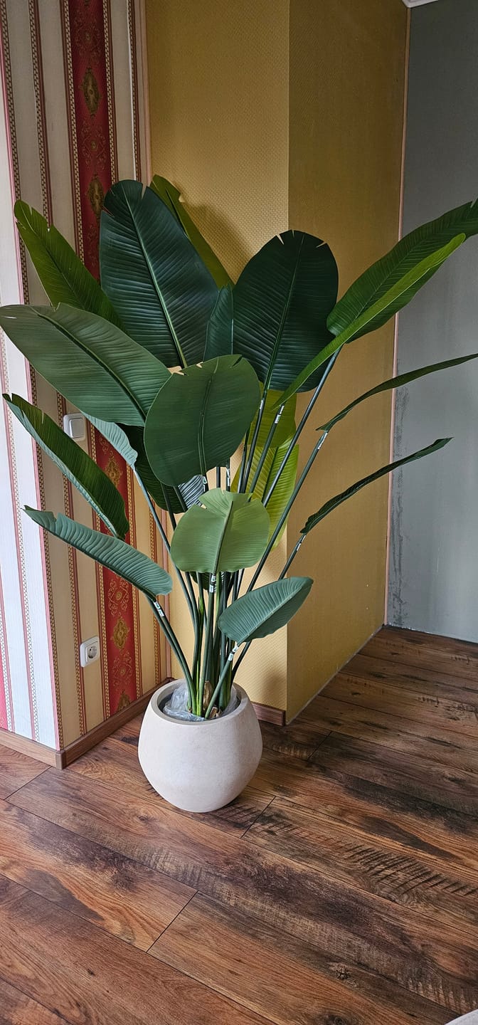 Customer photo review of Strelitzie Kunstpflanze 180cm