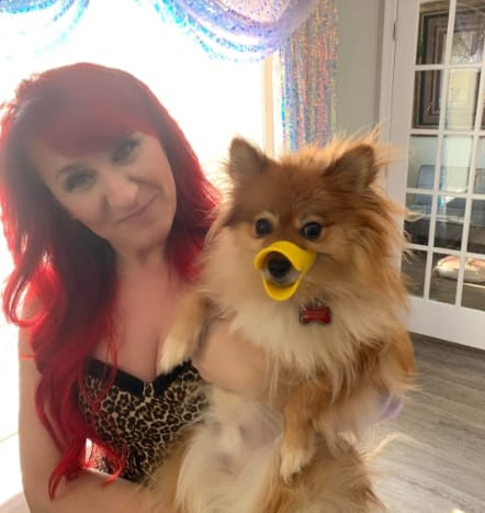 Customer photo review of Bozal QuietDog ˢᵗʳ Controla mordidas y ladridos.
