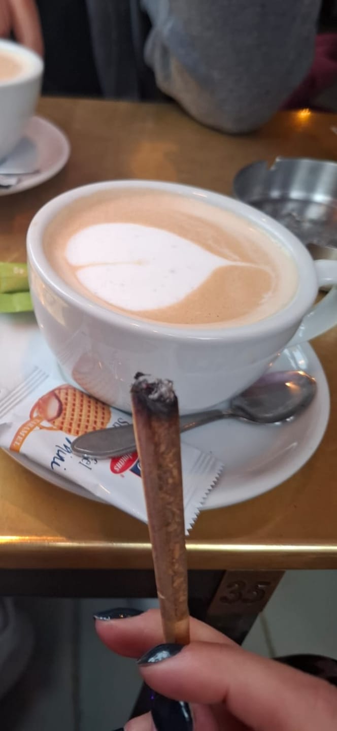 Customer photo review of GELATO X 30%