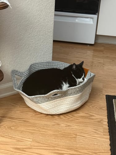 Customer's tuxedo cat curled up asleep in a neutral-colored woven Instinct Basket on a wooden floor.