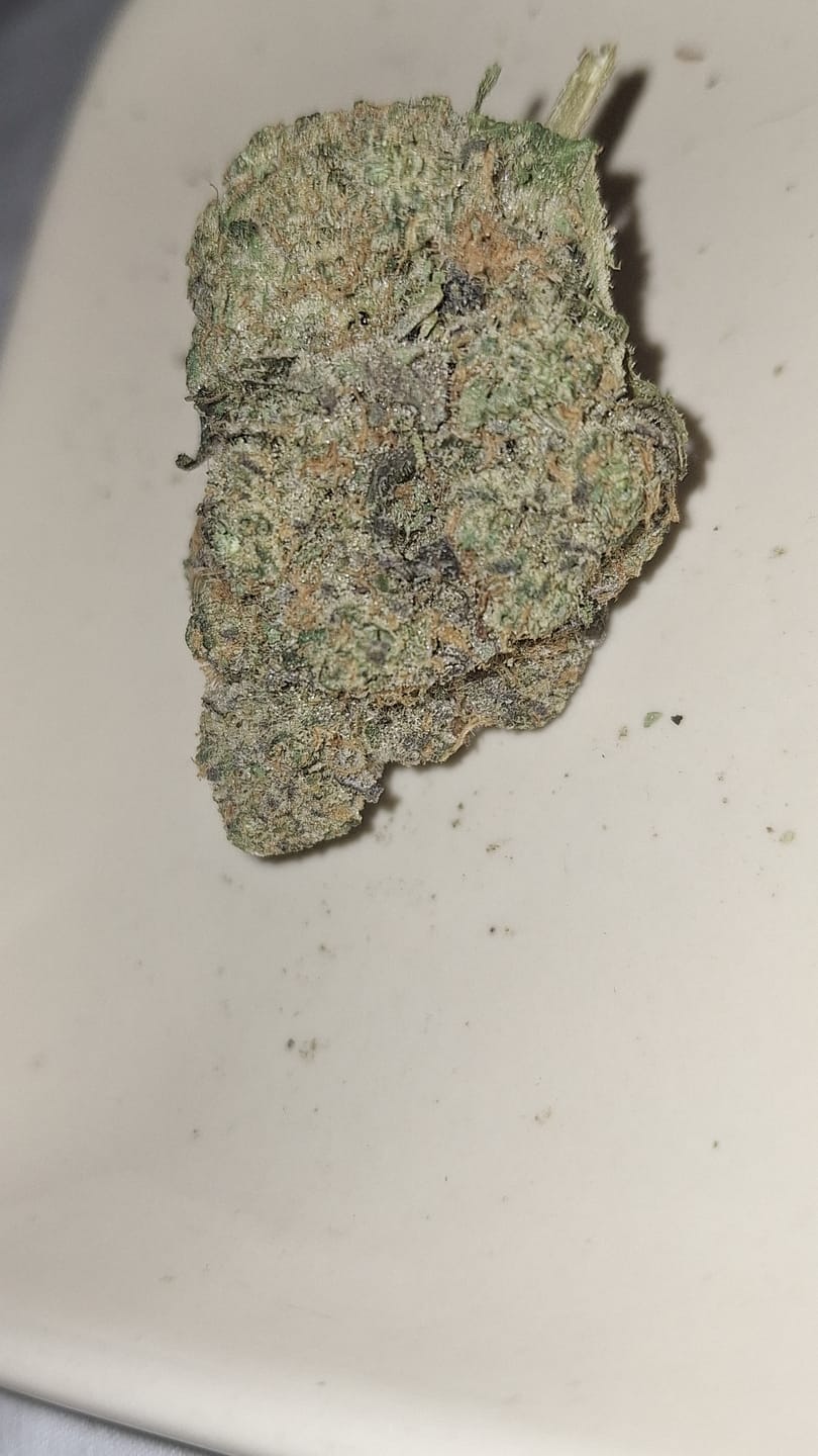 Customer photo review of Biscotti THCA Flower (Premium)