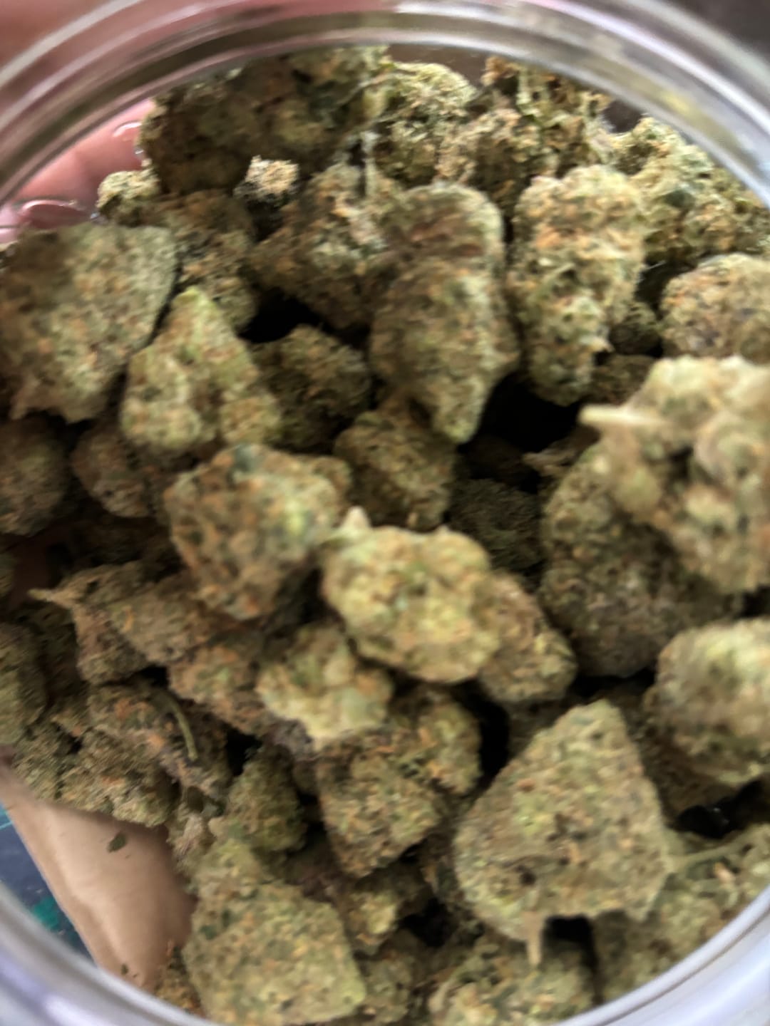 Customer photo review of Biscotti THCA Flower (Premium)