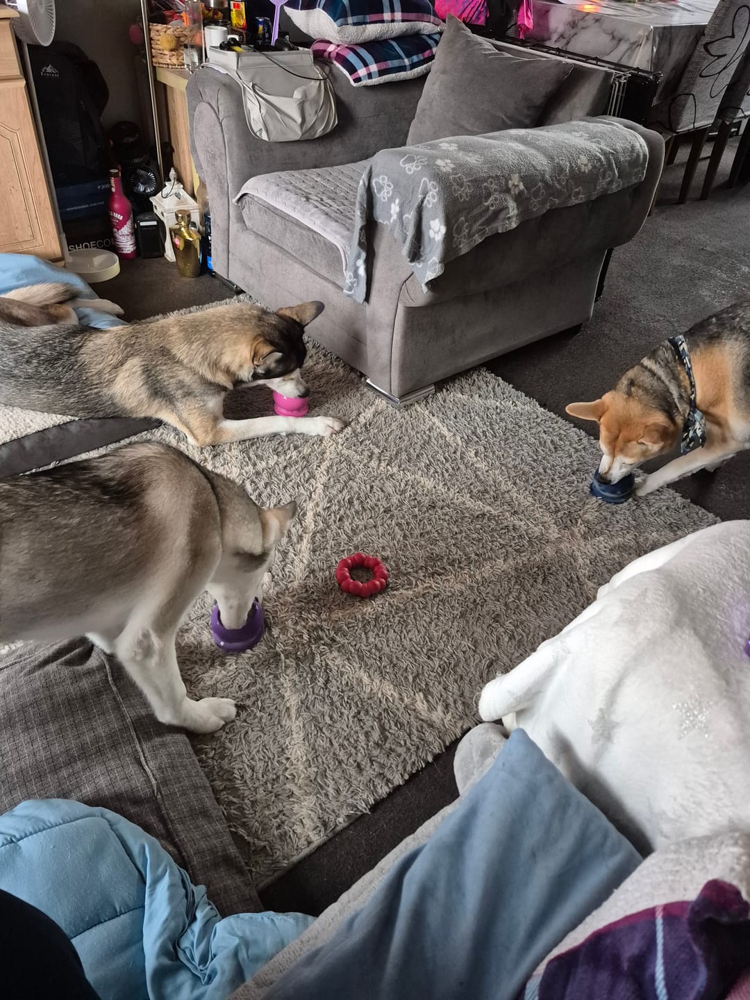 Customer photo review of Freezball - Durable Fillable Dog Chew Bone
