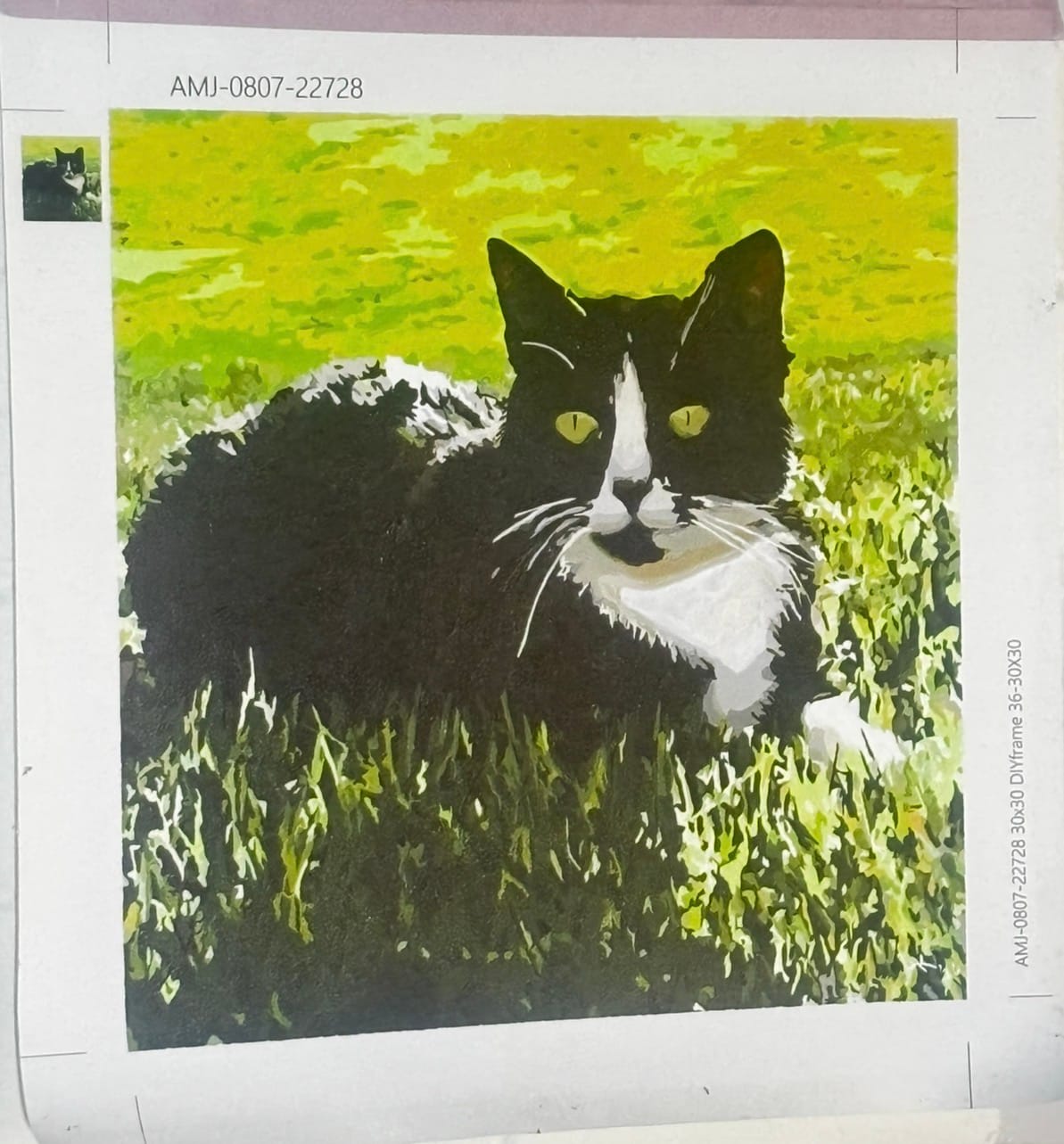 Customer photo review of Pet Custom Paint by Numbers