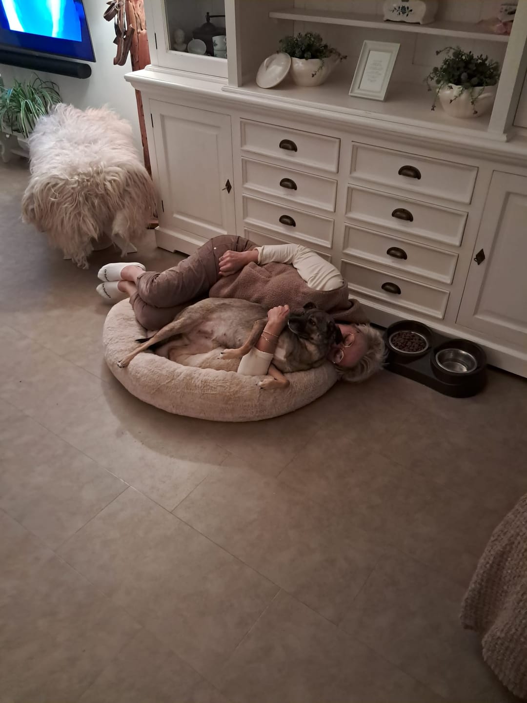 Customer photo review of Pet Perfect Orthopedische Donutmand