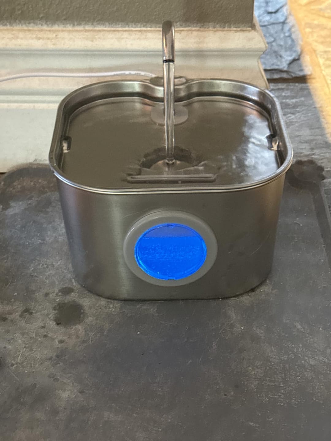 Customer photo review of AquaPurr™ Fresh Water Fountain