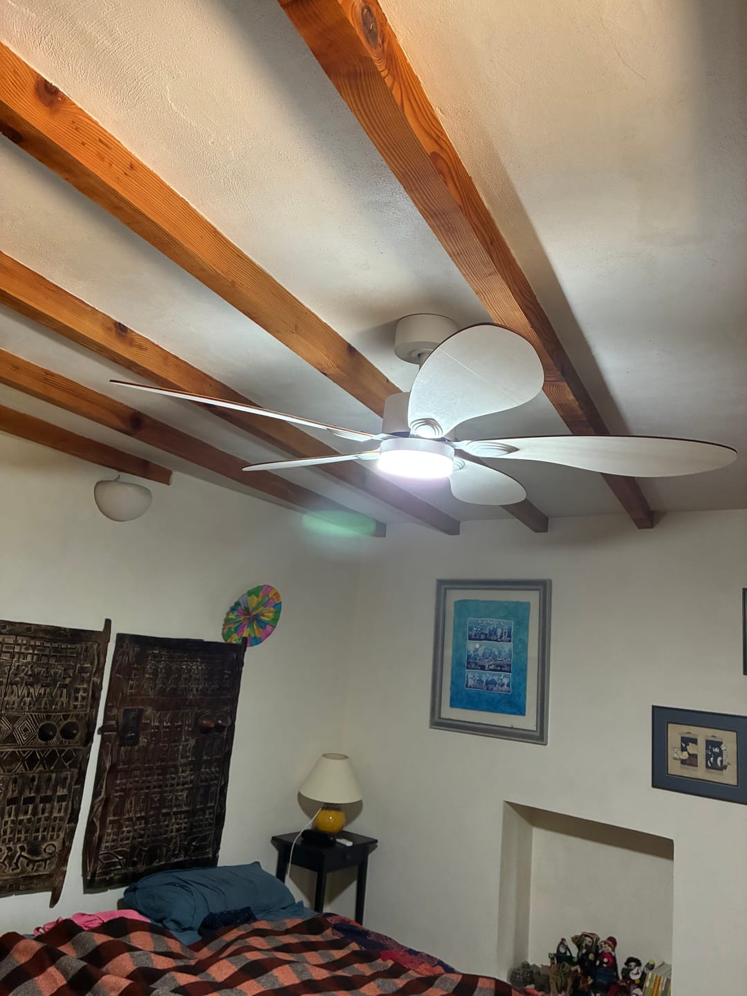 Customer photo review of Libellule | Ventilateur de plafond