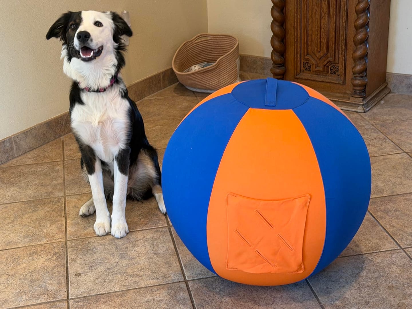 Customer photo review of Seravi Herding Ball