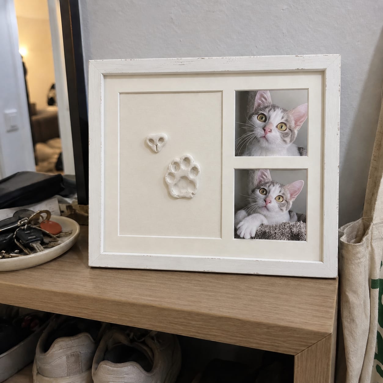 Customer photo review of Pet Clay Print kit
