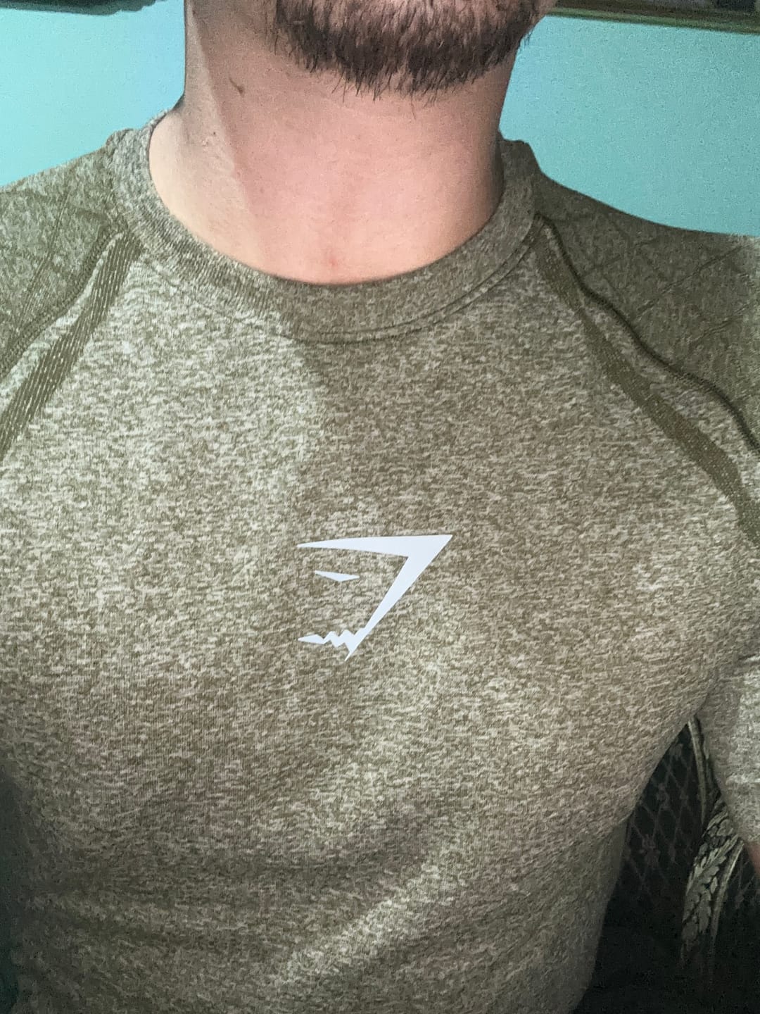 Customer photo review of DEVANT SEAMLESS T-SHIRT
