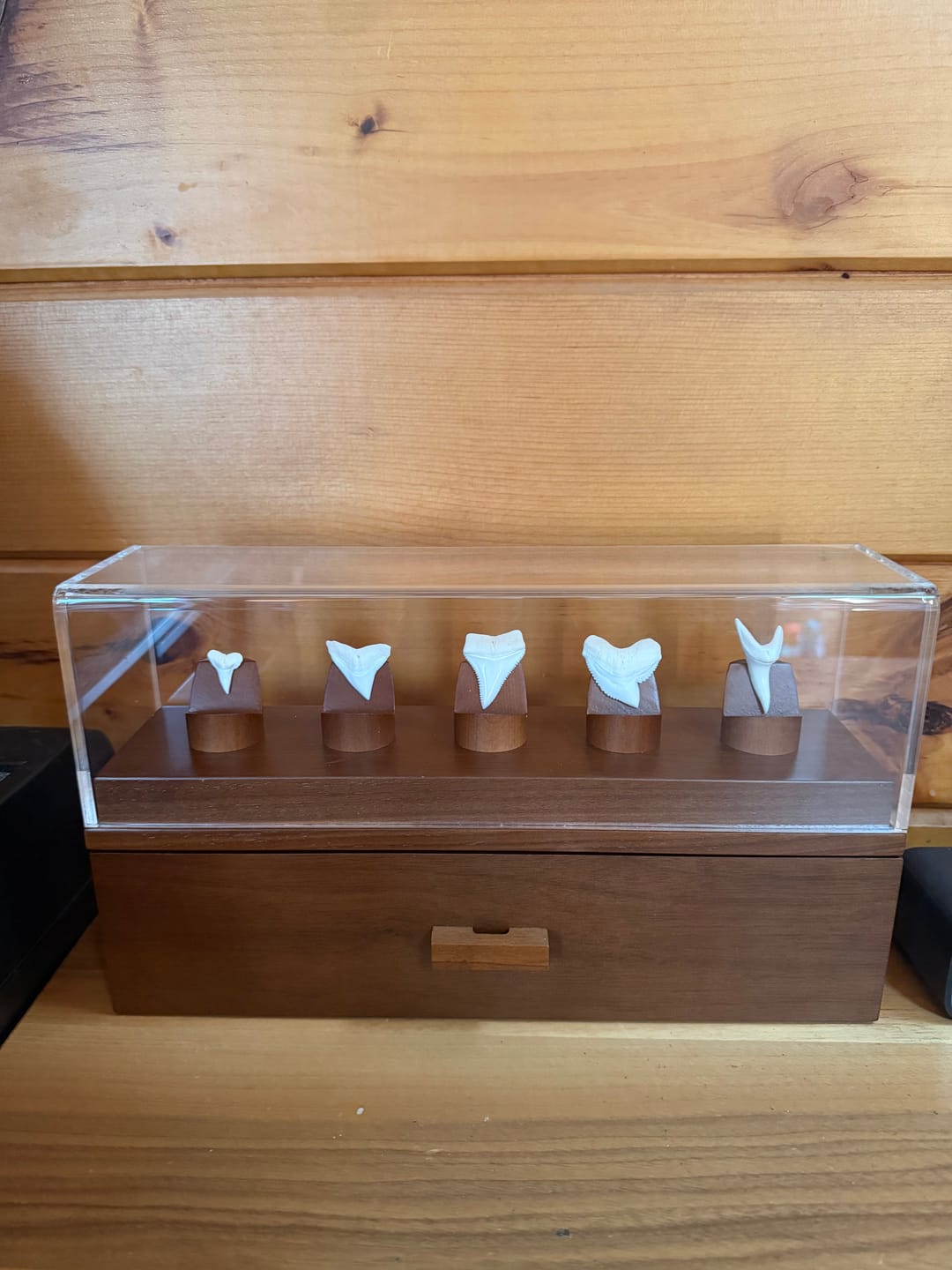 Customer photo review of The Coin Deck