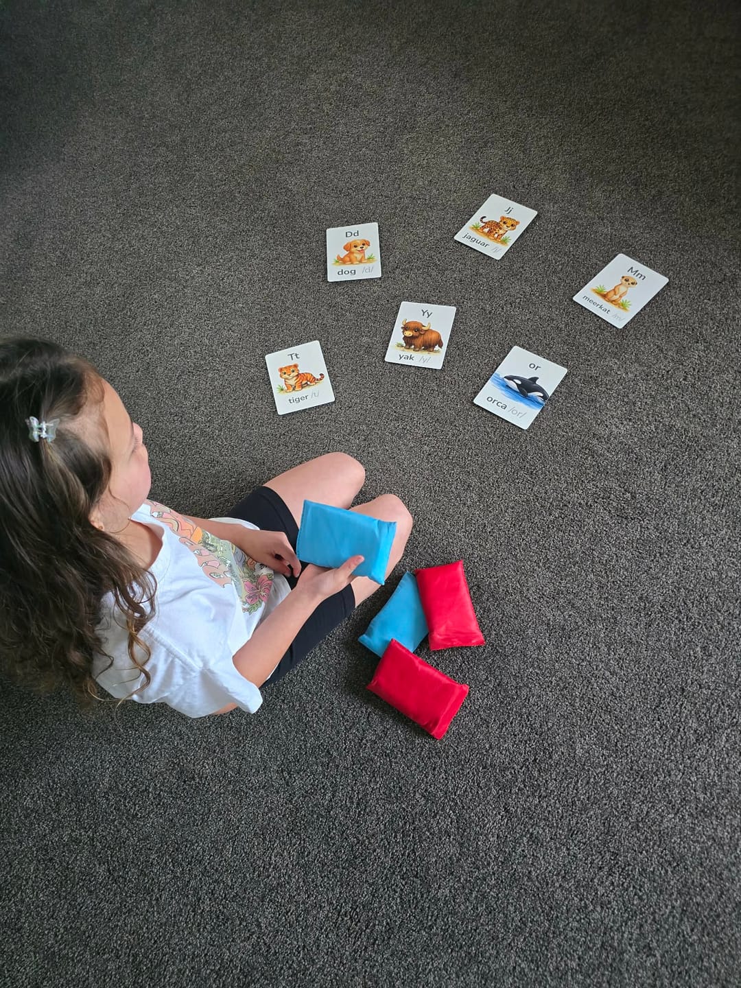 Customer photo review of Phonics Flash Cards
