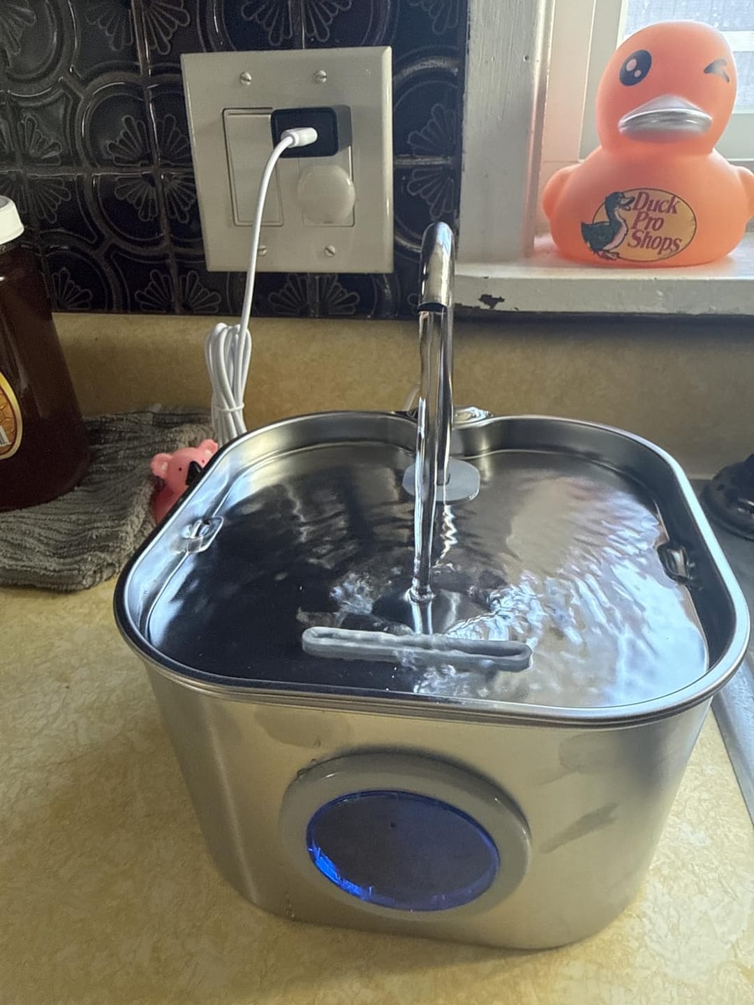 Customer photo review of AquaPurr™ Fresh Water Fountain