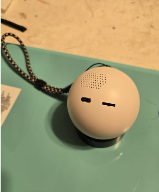 Customer photo review of Merry Ball™