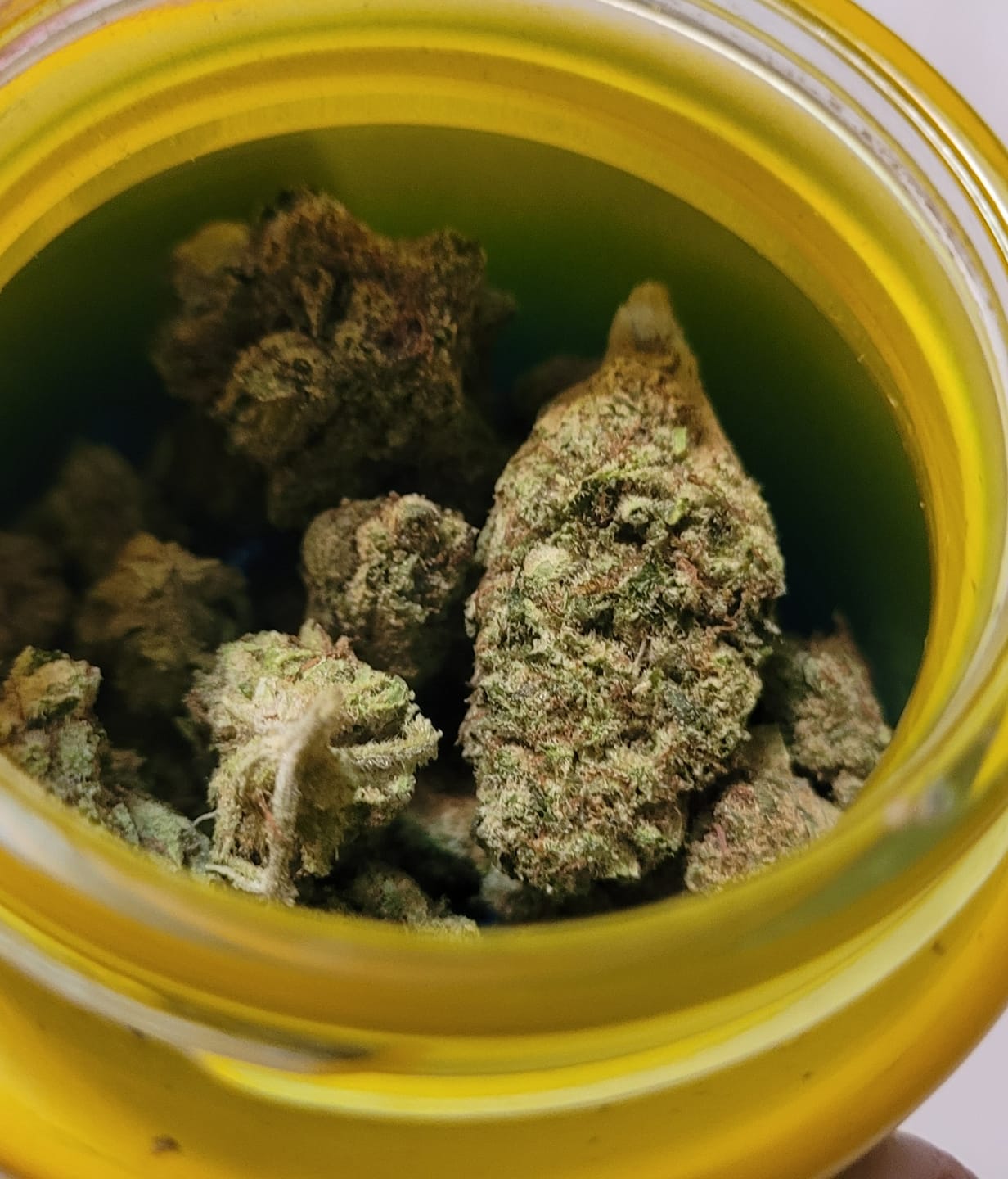 Customer photo review of Bruce Banner  - 28 Grams - Hybrid