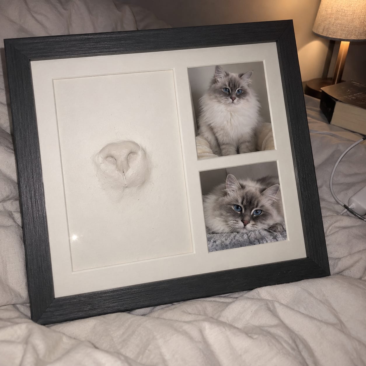 Customer photo review of Pet Clay Print kit
