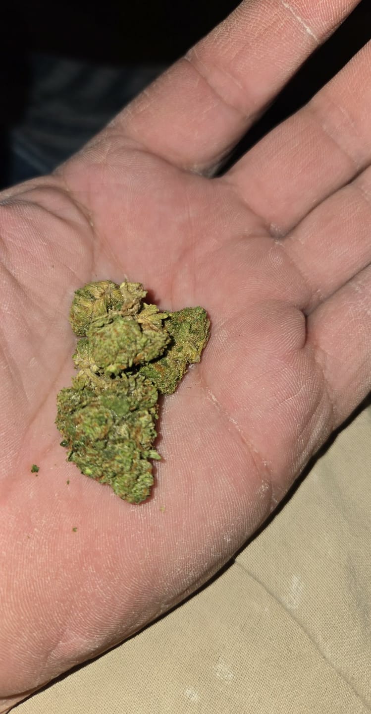 Customer photo review of Puffaroo - Triangle Kush - 28 Grams - Indica