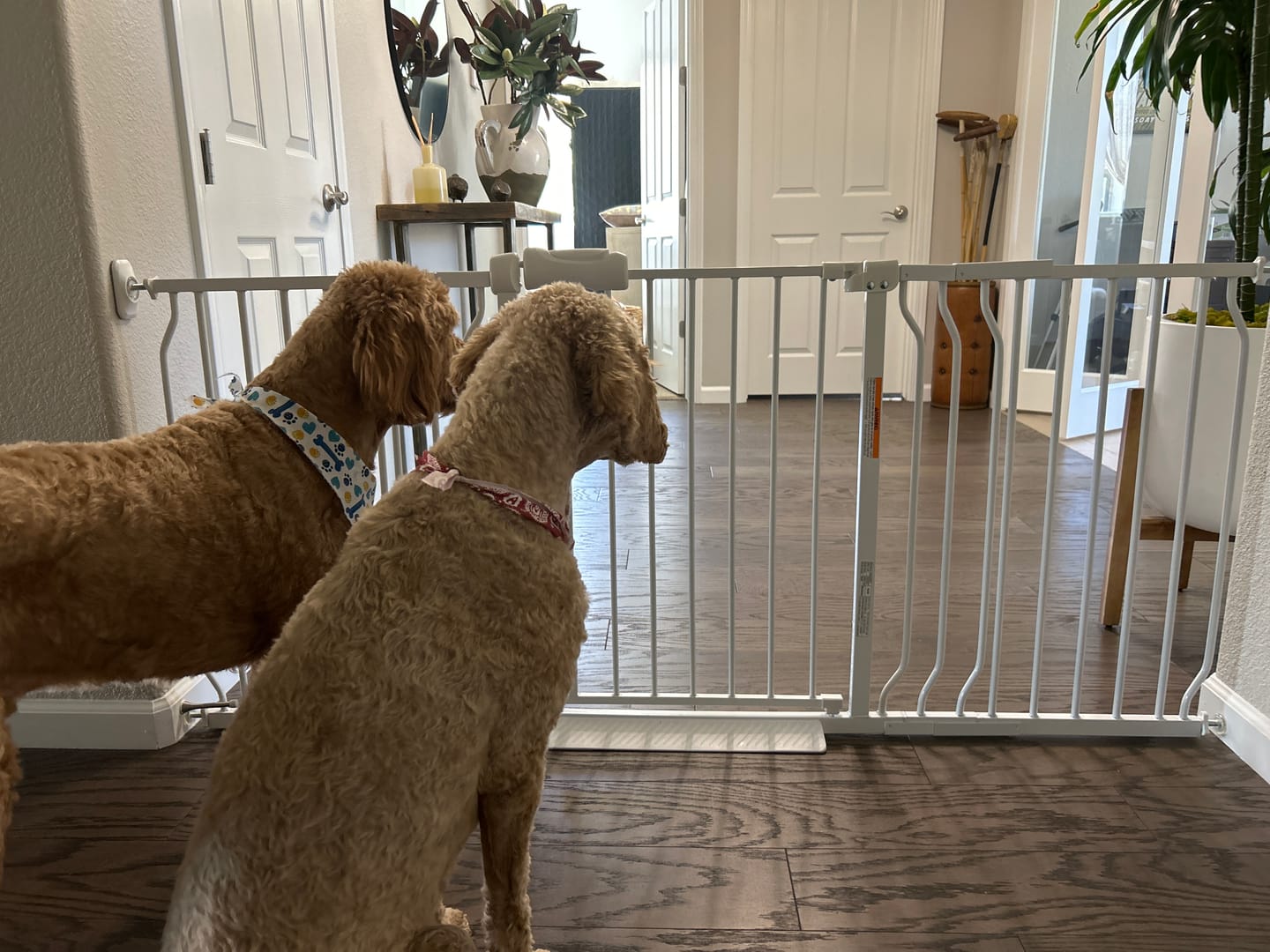 Customer photo review of FairyBaby Extra Wide Baby Gate, Easy Install Extra Security