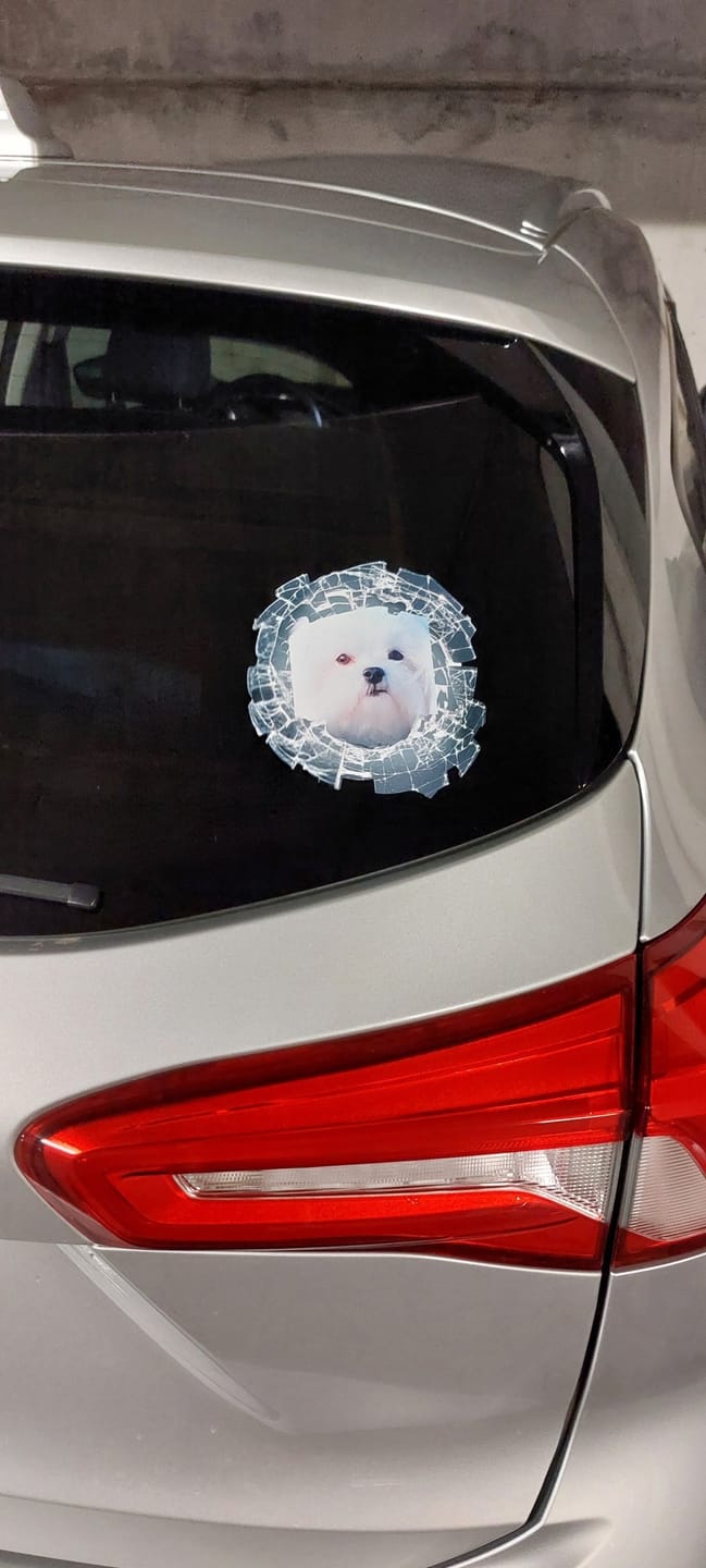 Customer photo review of Personalisierter Autoaufkleber - Spähendes Foto Glas