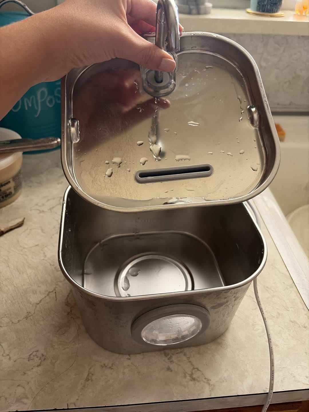 Customer photo review of AquaPurr™ Fresh Water Fountain