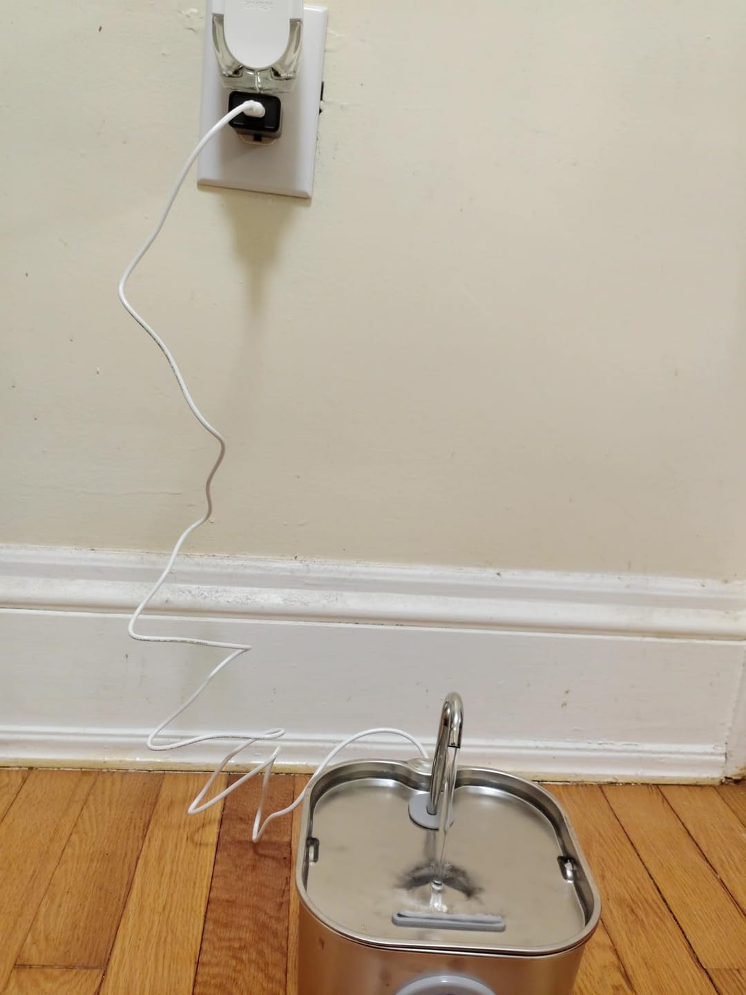 Customer photo review of AquaPurr™ Fresh Water Fountain