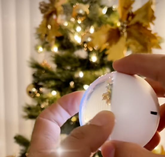 Customer photo review of Merry Ball™