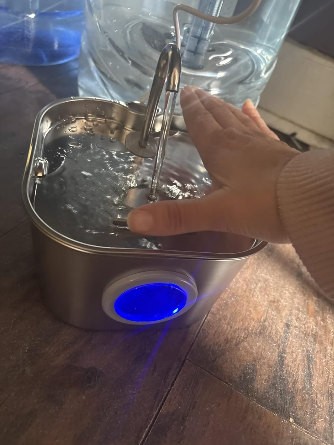Customer photo review of AquaPurr™ Fresh Water Fountain
