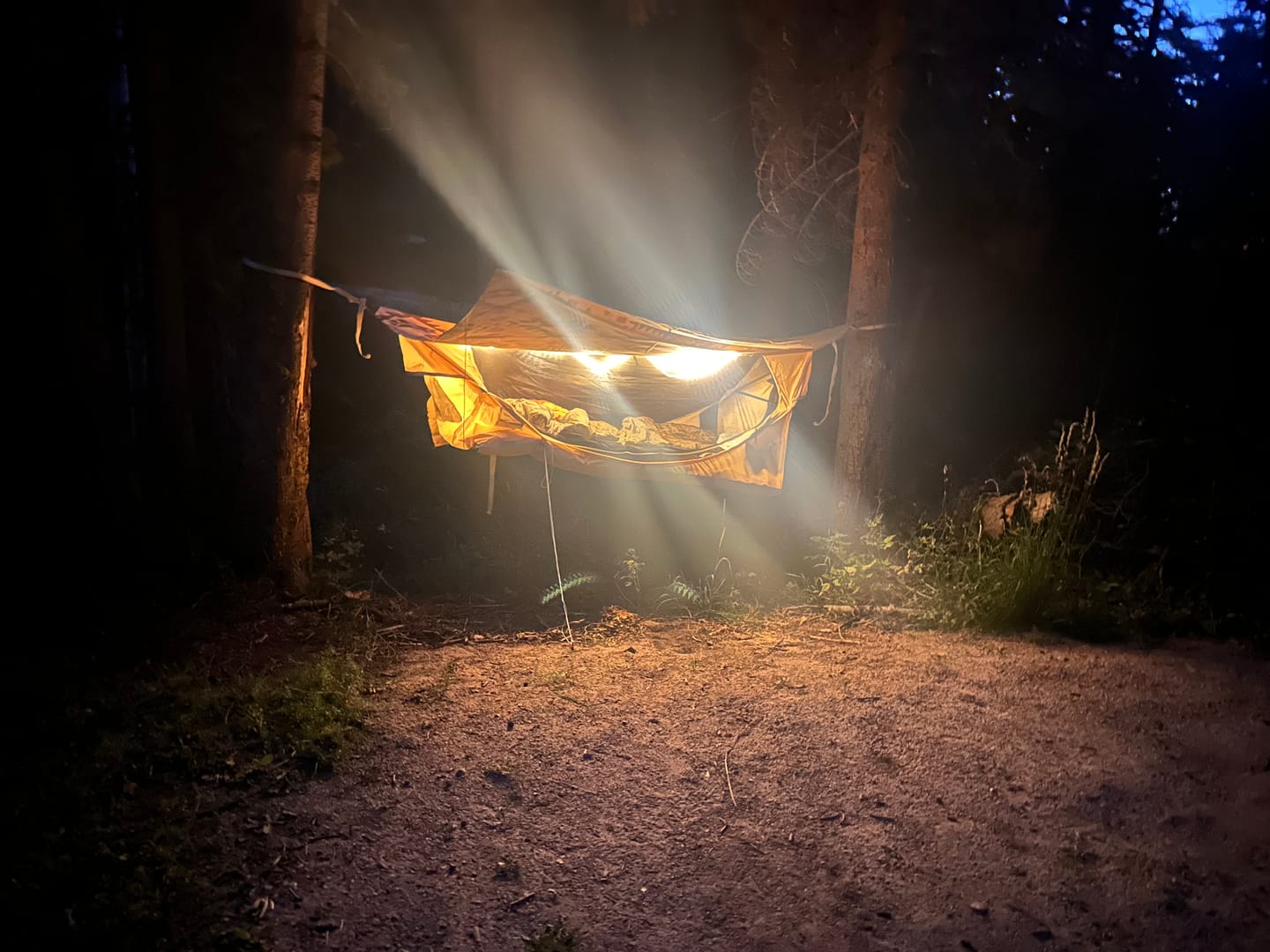 Customer photo review of Haven RidgeLight
