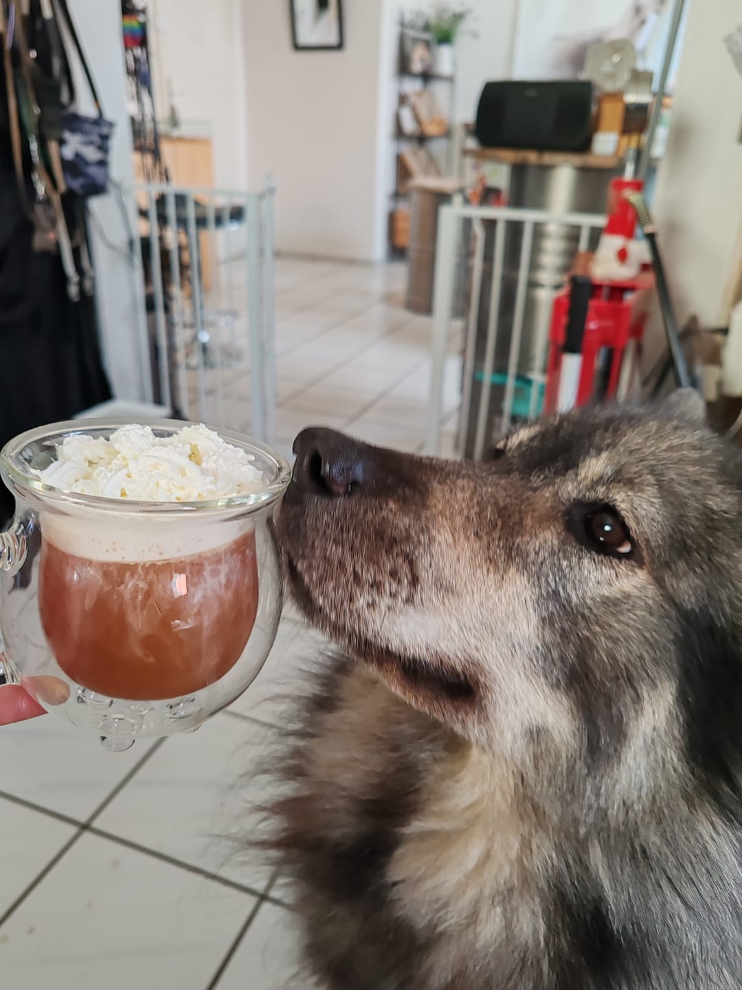Customer photo review of Kessel Tasse aus Glas – Doppelwandig