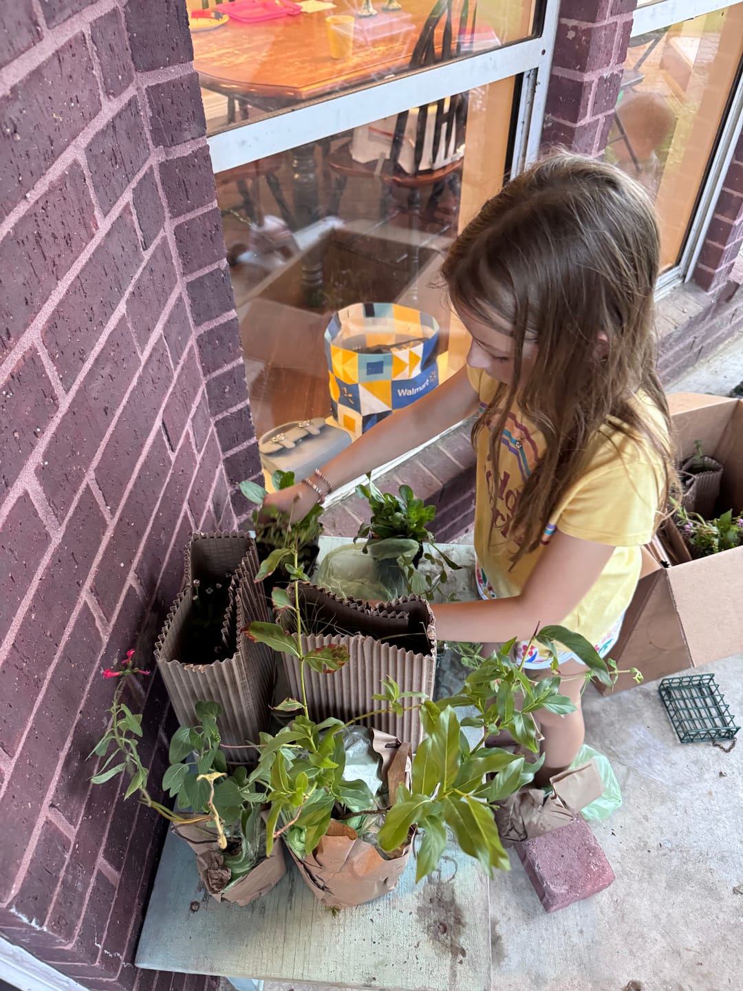 Customer photo review of Buttonbush
