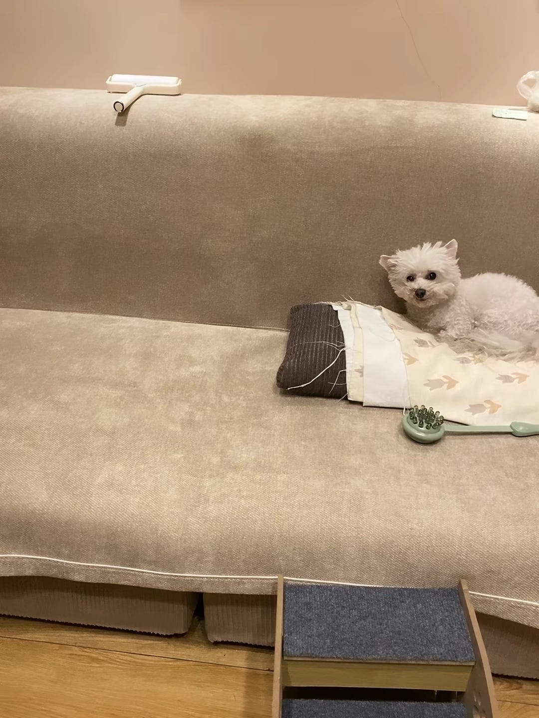 Customer photo review of ChenilleGuard™ Waterproof Anti-Scratch Sofa Cover