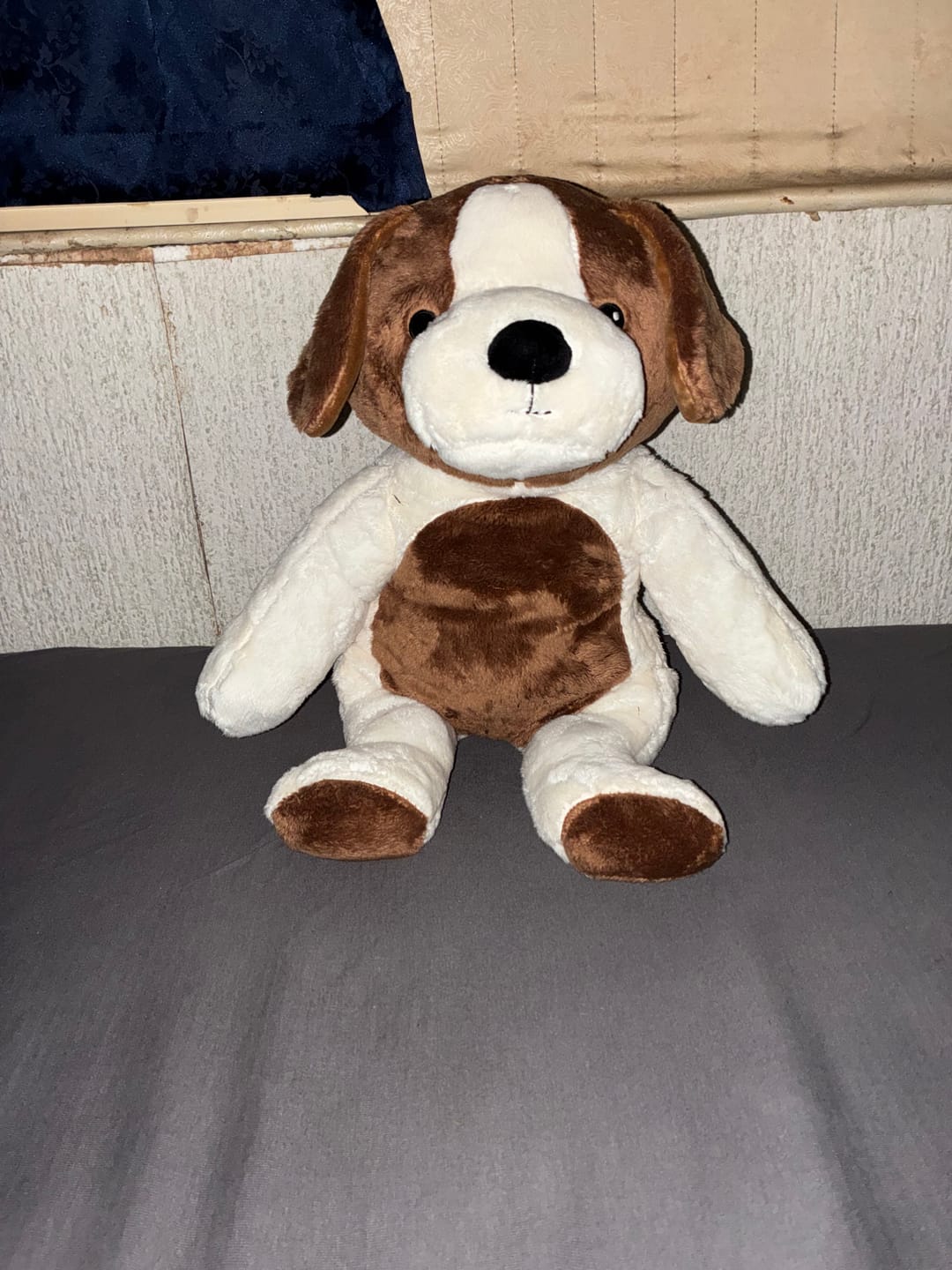 Customer photo review of Lotgenootje Hond 2kg