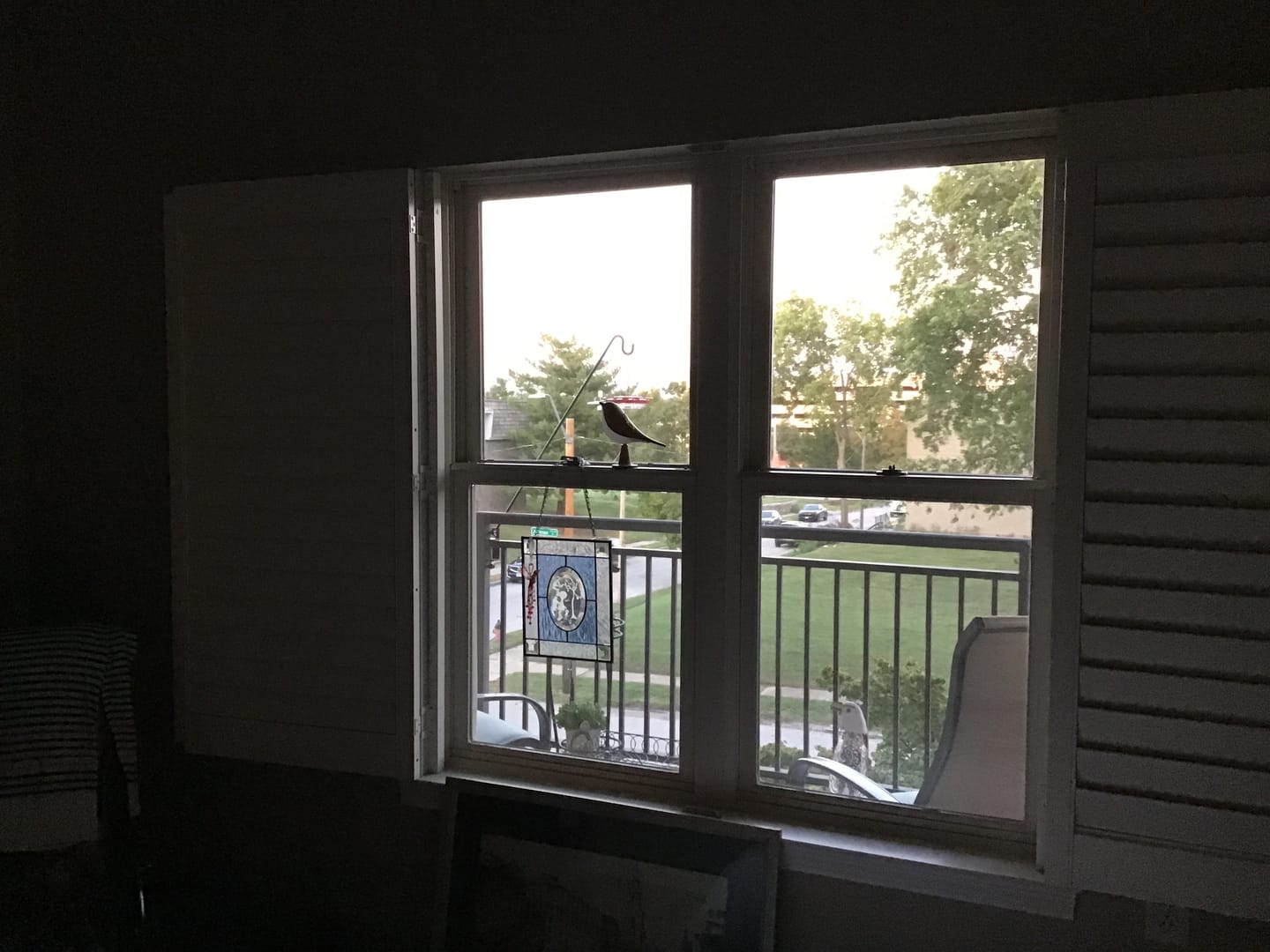 Customer photo review of Glow Bird