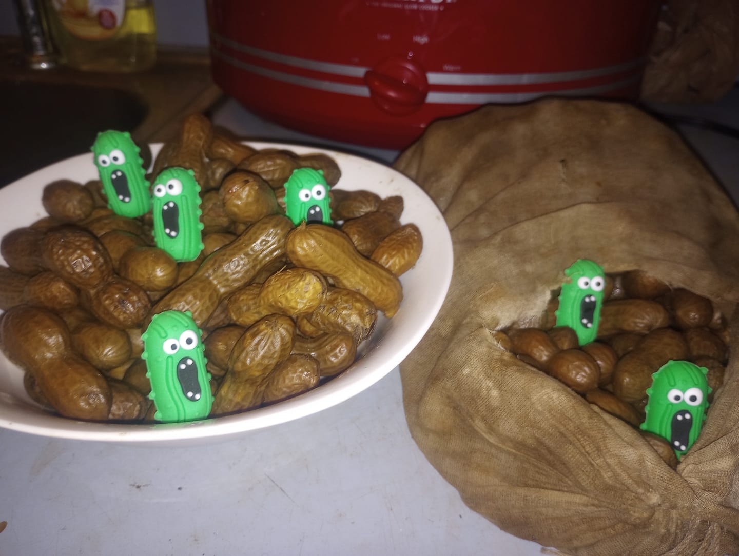 Customer photo review of Boil-The-Bag Boiled Peanuts (2 Bags)