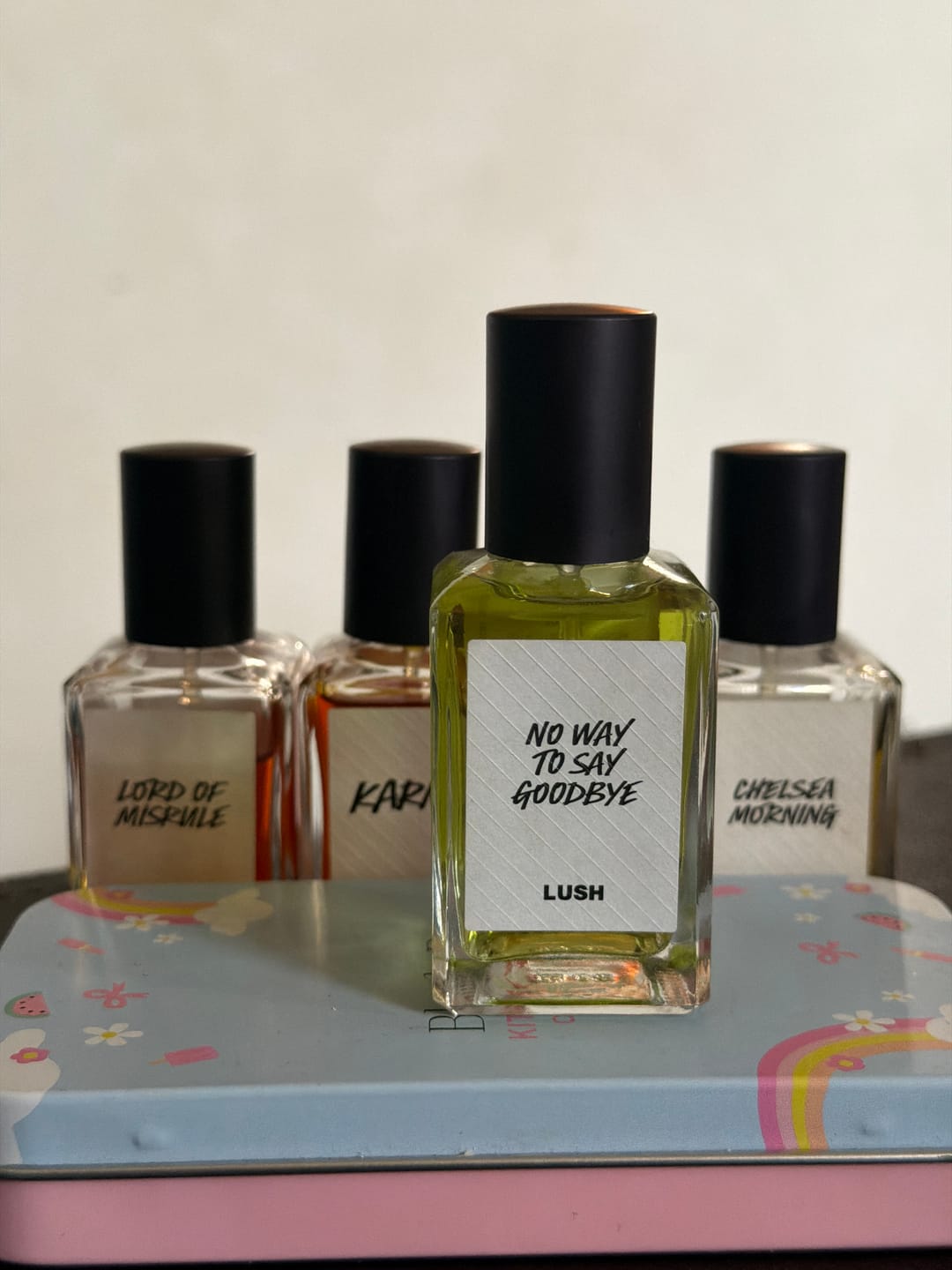Customer photo review of No Way To Say Goodbye