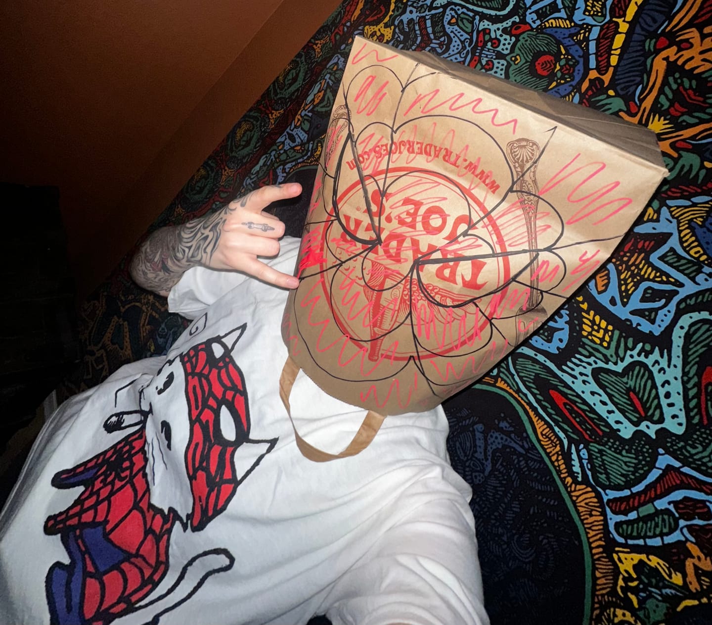 Customer photo review of MEOWBRO MYSTERY TEE