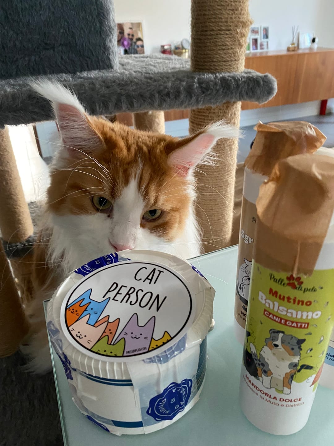 Customer photo review of CALMINO, Shampoo lenitivo e delicato universale cani, gatti e furetti