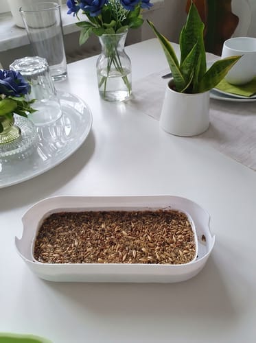Customer photo review of Germinador de Pasto para Gato