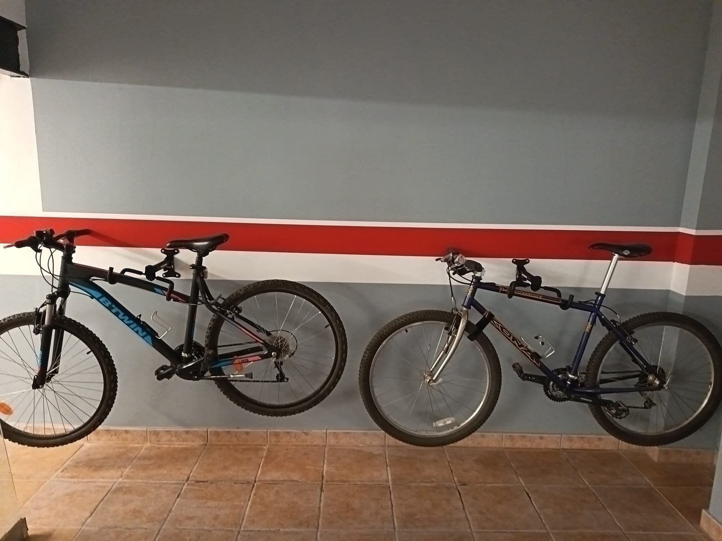 Customer photo review of Foldable Bike Wall Rack